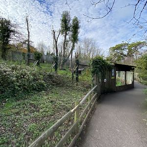 South African cheetah enclosure 201121