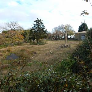 Former elephant enclosure 201121