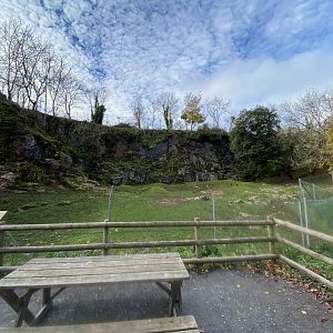 Mishmi takin enclosure 201121