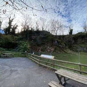 Mishmi takin enclosure 201121