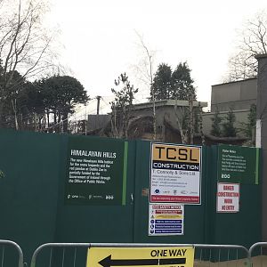 Construction on new red panda enclosure - 27/12/2021