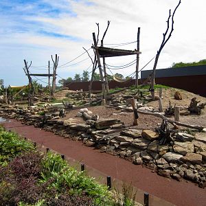 Sacred Baboon Enclosure