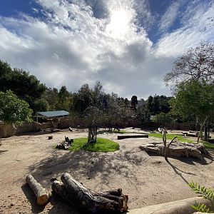Lesser Kudu and Speke’s Gazelle Habitat