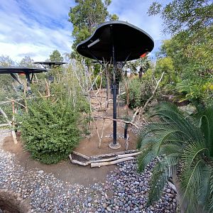 Koala Habitat - Outback