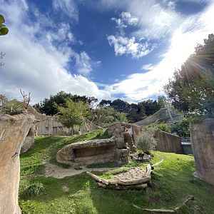 Gelada Habitat - Africa Rocks