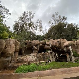 Grizzly Bear Grotto - Center Street