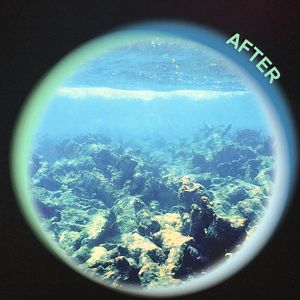 Stock Degraded Reef Photo