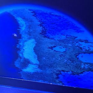 Great Barrier Reef Stock Photo