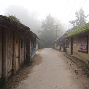 Kerala Indian village theming area, 2021-10-10