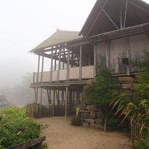 Asian elephant viewing areas on a misty morning, 2021-10-10