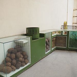 Display on how much elephants eat and poop per day, 2021-10-10