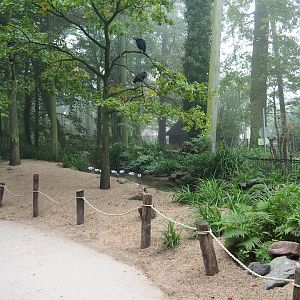 New wading bird beach at the former location of the beaver exhibit in the European aviary, 2021-10-10