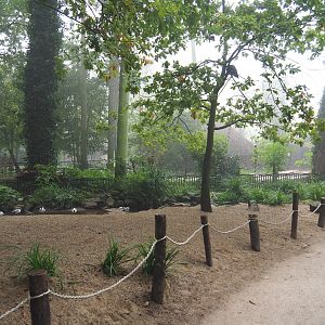 New wading bird beach at the former location of the beaver exhibit in the European aviary, 2021-10-10