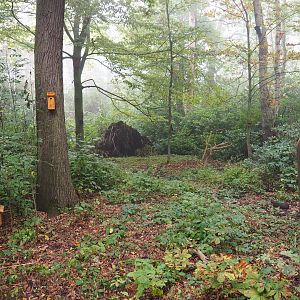 New wildlife feeding, bathing and nesting area, 2021-10-10