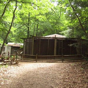 Overview of Raptor Complex