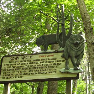 Old-School Wolf Signage
