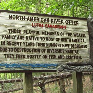 Old-School River Otter Signage