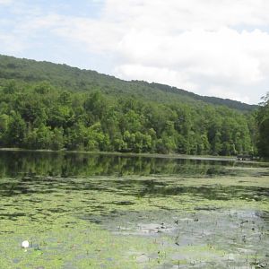 Bays Mountain Scenery