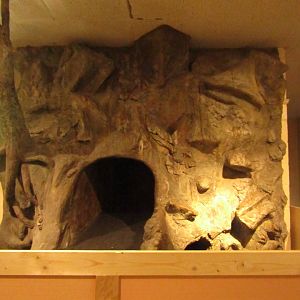 Closed Crawl Through Cave