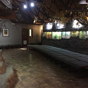 Herpetarium Interior