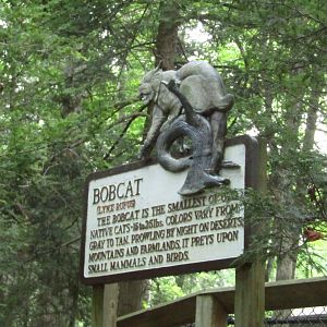 Old-School Bobcat Signage