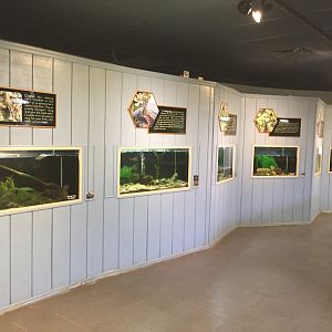 Watershed Room - Smaller Tanks