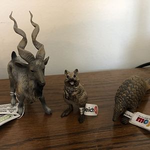 A markhor, a quokka, and a pangolin walk into a bar…