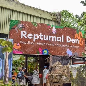 New in 2021 - Repturnal Den