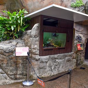 New Land Mullet Enclosure
