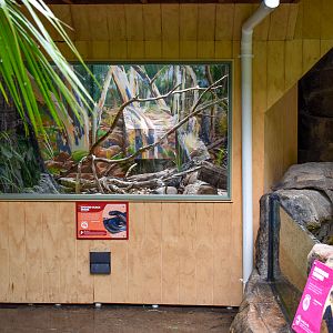 New Spotted Black Snake Enclosure