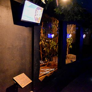 New Squirrel Glider Enclosure