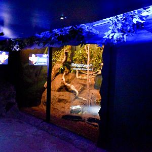 New Greater Glider/Bandicoot Enclosure (one half)