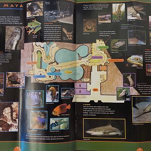 Field Guide Map: Mundo Maya lower level