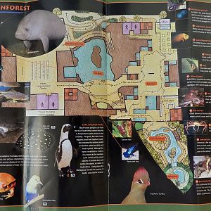 Field Guide Map: Orinoco Rainforest aquatic level 1