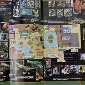 Field Guide Map: Orinoco Rainforest understory level 2