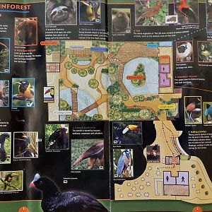 Field Guide Map: Orinoco Rainforest canopy level 3