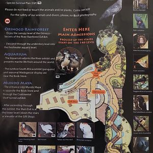 Field Guide Map: 'Borneo' entrance area