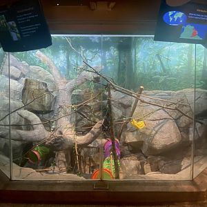 Primate Building - White-Faced Saki/Golden-Headed Lion Tamarin Exhibit