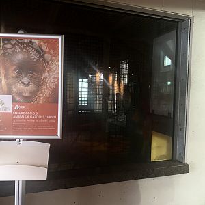 Primate Building - Former Patas Monkey Exhibit