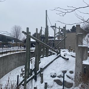 Primate Building - Outdoor Sumatran Orangutan Exhibit
