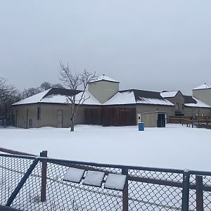 African Hoofstock - Generic Giraffe/Grant’s Zebra/Common Ostrich Exhibit