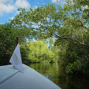 View on Gordon River