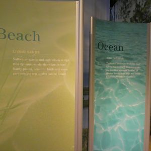 Discovery Center - Introduction Gallery Signage