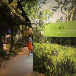 Discovery Center - Uplands