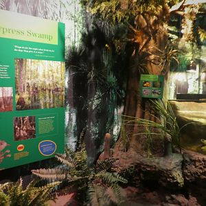 Discovery Center - Everglades