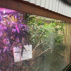 Zebra Building - Empty Miller’s Chameleon Exho