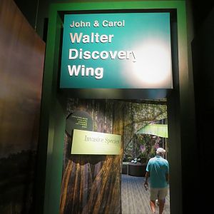 Discovery Center - Discovery Wing Entrance