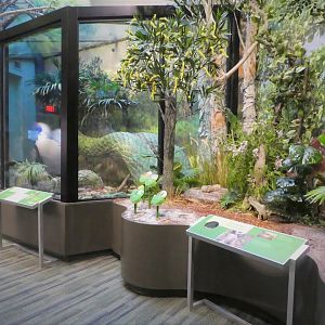 Discovery Center - Discovery Wing - Invasive Species Gallery - Burmese Python Exhibit