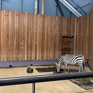 Giraffe Building - Indoor Grant’s Zebra Exhibit