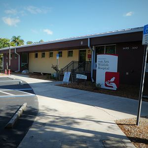 Wildlife Hospital